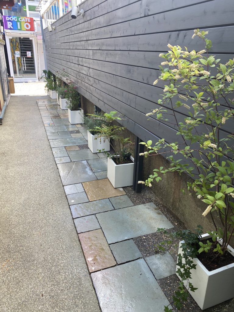 原宿の庭